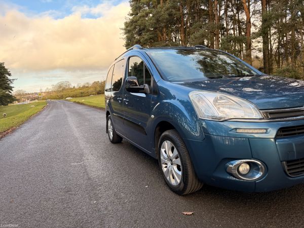 Citroen Berlingo Multispace 2013 380149098