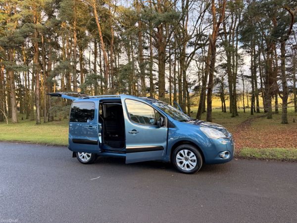 Citroen Berlingo Multispace 2013 380149108