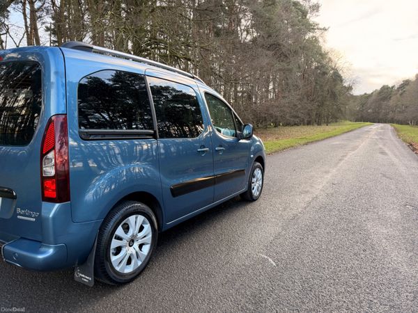 Citroen Berlingo Multispace 2013 380149110