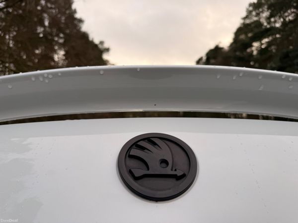 Skoda Octavia 2016 VRS TDI 184 BHP 381396086