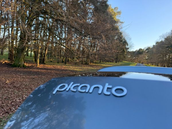 Kia Picanto 2022 Automatic 381832632