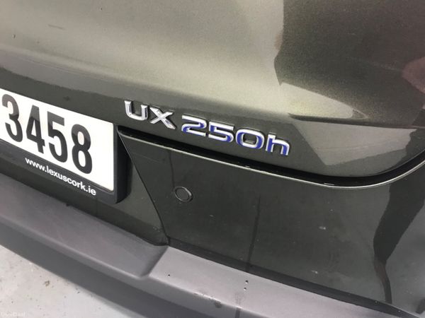 Lexus UX 2022 382388738