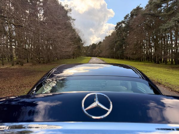 Mercedes-Benz E-Class 2019 382479406