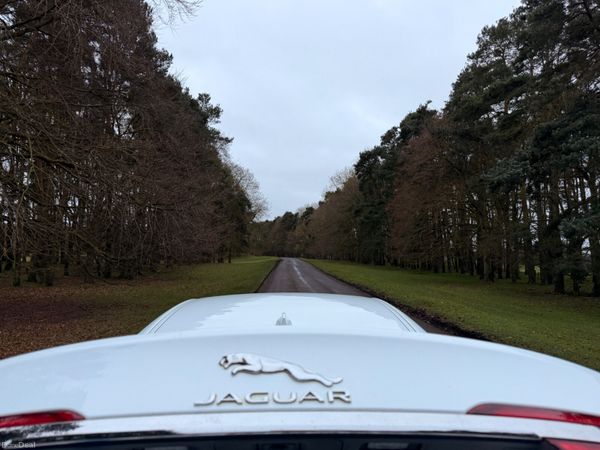 Jaguar XF 2016 Diesel Fuji White Black Wheels 383470116