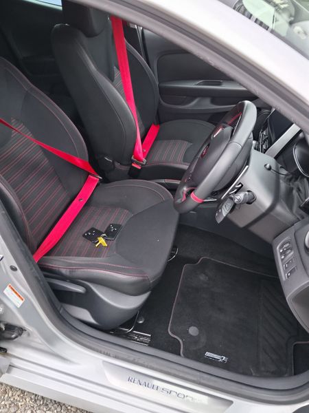 Clio RS Trophy 383856484