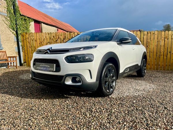 Citroen C4 Cactus 2019 showroom condition 384597350