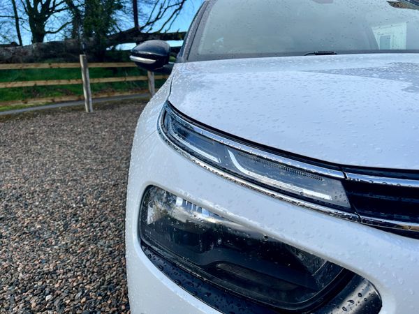 Citroen C4 Cactus 2019 showroom condition 384597410