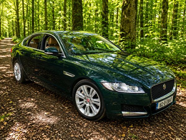 Jaguar XF 2016 Portfolio Diesel Sunroof 387075292