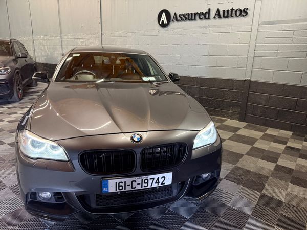 161 BMW 520D M-Sport / M Performance 387838392