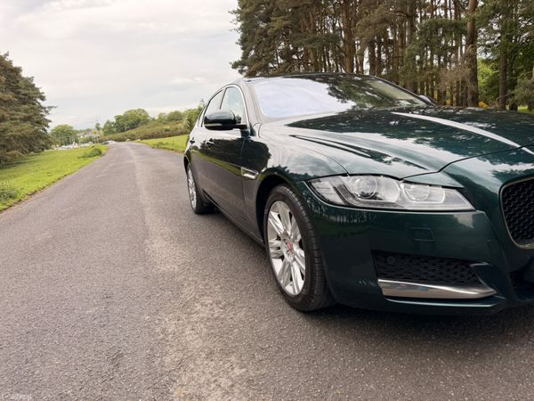 Jaguar XF 2016 Portfolio Diesel Sunroof 388190086