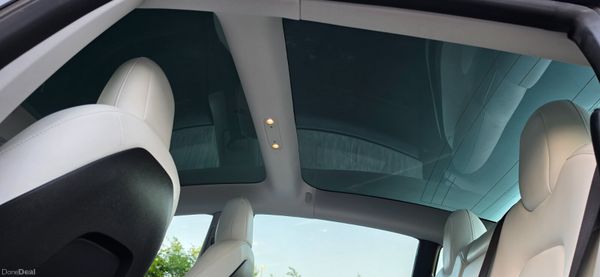 🔥 2021 Tesla Model 3 Performance 388574112