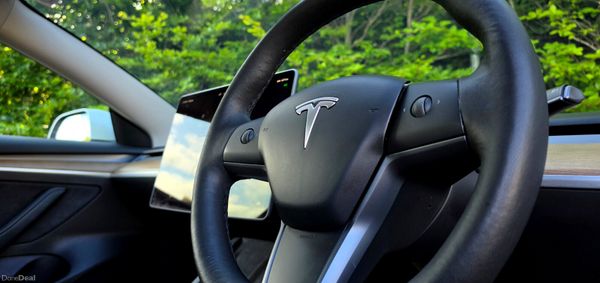 🔥 2022 Tesla Model 3 RWD 389324746