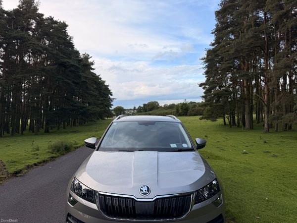 Skoda Karoq 2018 1.6 TDI 389746050