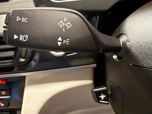 161  BMW X6 3Ltr D X-Drive M-Sport / M Performance 389982146