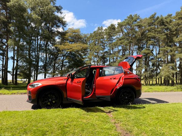 BMW X2 2022 25e X Drive Hybrid 390915348