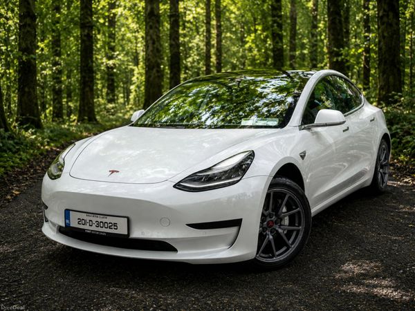 2020 TESLA MODEL 3 - RWD - 391431808