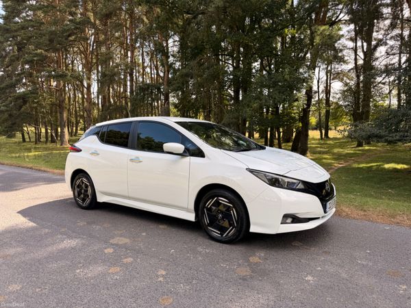 Nissan Leaf 2022 Commercial 2 Seater 393679764
