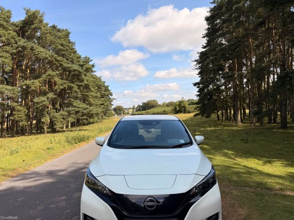 Nissan Leaf 2022 Commercial 2 Seater 393679848