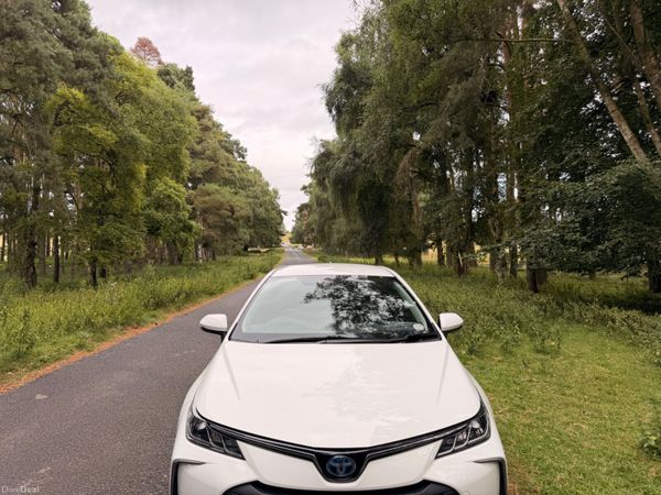 Toyota Corolla 2023 Luna Hybrid 393911608