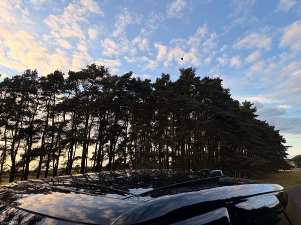Land Rover Range Rover 2023 396165942
