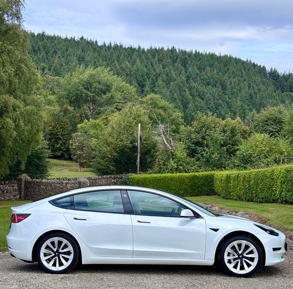 2021 Tesla Model 3 SRP 397125200