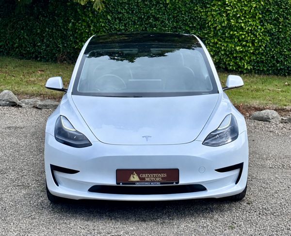 2021 Tesla Model 3 SRP 397125226