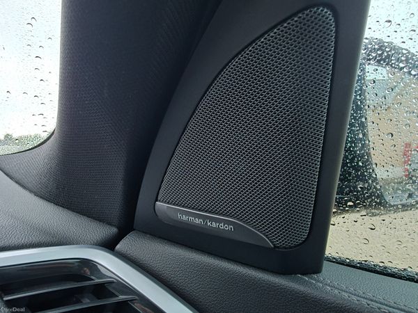 BMW X5 2020 398180440