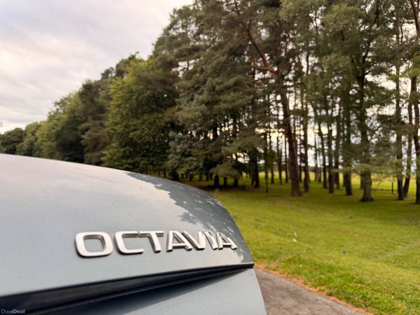 Skoda Octavia 2018 1.6 TDI 398339526