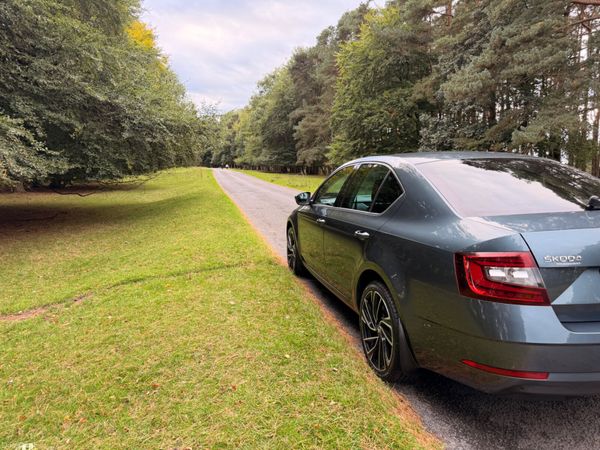 Skoda Octavia 2018 1.6 TDI 398339534
