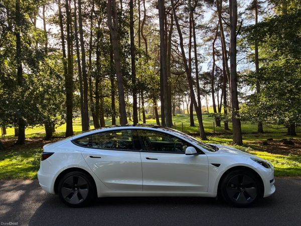 Tesla Model 3 2021 399800010