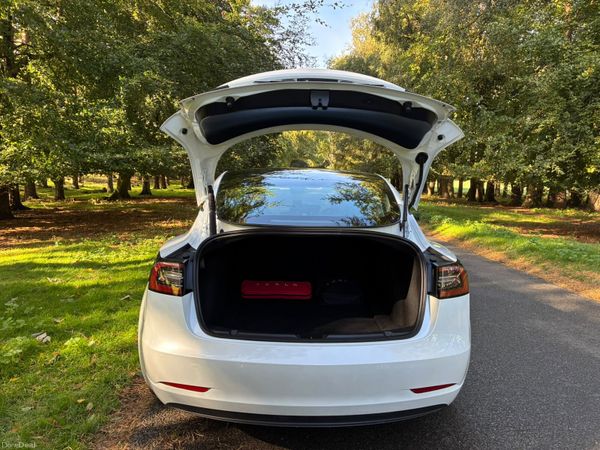 Tesla Model 3 2021 399800032