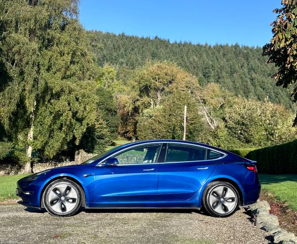 2020 Tesla Model 3  Long Range Over 450km Range 401030534