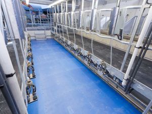 Parlour Matting - Parlour Pit & Cow Standing Area - Image 3