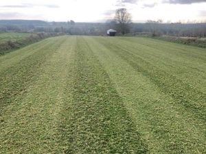 Rakeman 3M Grass Harrow with Apv MDP100 - Image 2