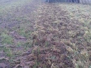 Rakeman 3M Grass Harrow with Apv MDP100 - Image 3