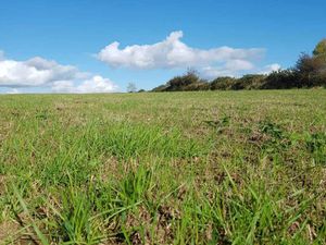 Rakeman 3M Grass Harrow with Apv MDP100 - Image 4