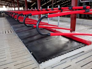 EASYFIX Cow Mattresses - Image 4