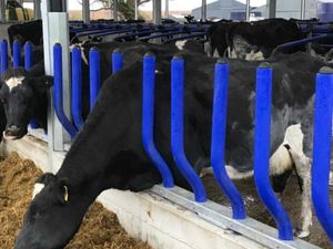 EASYFIX Feed Barrier System - Image 3