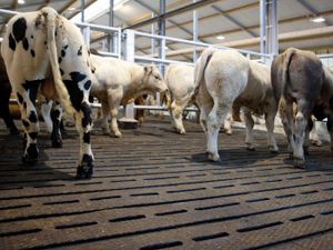 Rubber Slat Mats - EASYFIX SR Slat Rubber - Image 4