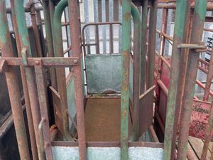 Mobile Cattle Crushes - Image 4