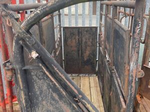 Mobile Cattle Crushes - Image 3