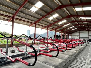 Cow Mats & Mattresses - Image 3