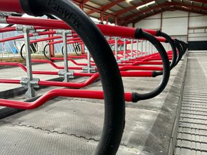 Cow Mats & Mattresses - Image 4