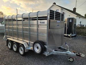 M-TEC  14' x 6' TRI AXLE CATTLE TRAILER - Image 3