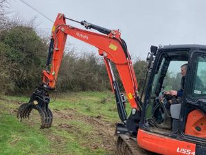 Timber & multipurpose Grabs - Image 3