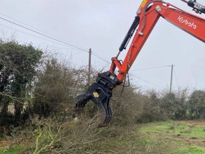 Timber & multipurpose Grabs - Image 2