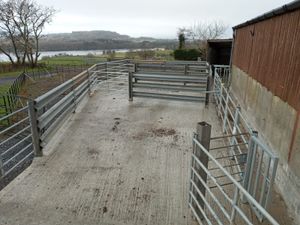 Crash barriers - Image 3