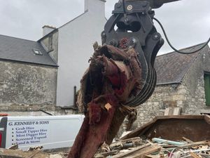 Timber & multipurpose Grabs - Image 4