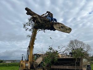 14t 65mm pins HD Excavator Tine Grab SALE! - Image 3