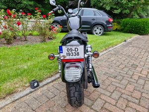 🦏 HARLEY DAVIDSON xl883L 2009.MINT.LOW MILAGE 🦏 - Image 4